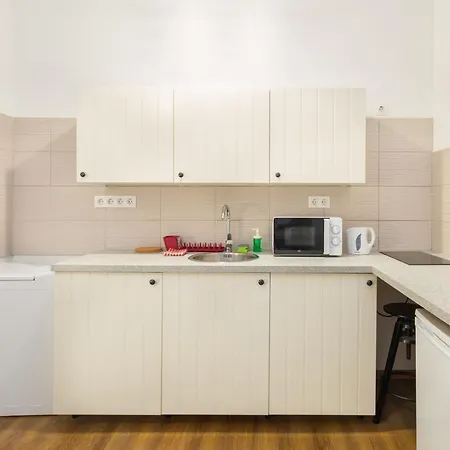 Nepszinhaz 16 Tiny Apartament