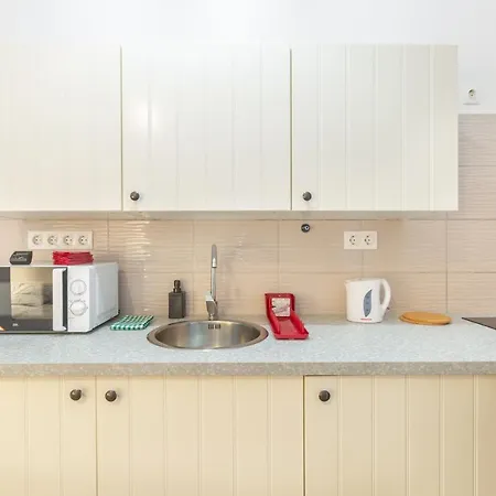 Apartament Nepszinhaz 16 Tiny