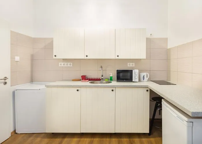 Nepszinhaz 16 Tiny Apartament